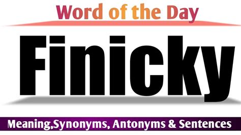 finicky synonym